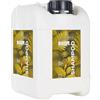 FluidoPet Boom | Shampoo Strutturante per Cani - Volume per Pelo Riccio e Struttura per Manti Ruvidi | Ideale per Terrier, Schnauzer, Jack Russell | Shampoo Professionale da Stripping 5lt