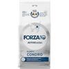 Generico FORZA 10 Cane Puppy Condro gusto Pesce | alimento secco dietetico completo per cuccioli, supporto al metabolismo articolare in caso di osteoartrite, 1 confezione da 10 kg.