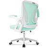 Milacyee Sedia da Ufficio con Supporto Lombare, Sedia Ufficio Ergonomica con Braccioli Regolabili in Rete Traspirante, Altezza Regolabile con 360°Ruote Girevoli Verde