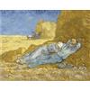 liziciti Kit di Pittura Diamante 5D per Adulti, Trapani Completi Capolavori di Van Gogh Strass Punto Croce Ricamo 30x40cm (La sieste)