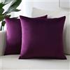 Sungeek Confezione da 2 Federe in Velluto, Fodere per Cuscini Decorativi Morbidi Copricuscini Divano di Lusso per Divano Letto Soggiorno Camera da Letto (60x60cm, Viola)