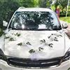 Bseical Decorazioni Auto Matrimonio Macchina, Fiocco Auto Matrimonio Sposi Tulle, Decorazione Matrimonio Macchina Nastro Bianco Per Auto Con Fiocchi Set Wedding Partito Addobbi Ventosa (Bianco)