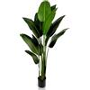 IvoQ Strelitzia - Pianta artificiale 210 cm, grande albero artificiale per interni ed esterni, design realistico, senza manutenzione, durevole e stabile, pianta tropicale da interno in vaso