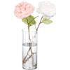 Segus Vaso di Acrilico Trasparente, 10x25cm Cilindrico Vasi per Fiori in Acrilico, Moderni, Infrangibili, per Matrimoni, Casa, Ufficio