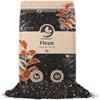 Sybotanica Terriccio Ficus 5 L, substrato di cocco senza torba
