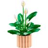 LEGO Spatifillo ( 474 pz ) BOTANICALS 18a+ 11504