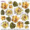 Pellicola Modellabile Doppia Yellow Primula e Primula Sirocco Serie 1/08B