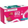 PALADIN PHARMA SpA Sanavita B-Vitamins B12 | Vitamine B12 B6 e Zinco | 15 Flaconcini