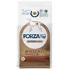 Forza10 Intestinal Colon Fase 2 per Cani - Sacco da 4 kg