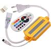 Jnchdghwa Controller per Striscia LED RGB 1500W Dimmer 16 Colori Wireless IR-24 Spina EU IP68 Impermeabile