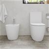 Parama Coppia di sanitari filomuro vaso monoblocco rimless e bidet bianco opaco | Europa
