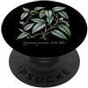 The Botany Bureau Illustrazione della pianta di Cebu Blue Pothos PopSockets PopGrip Adesivo