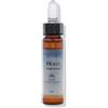 Fiori Mediterranei Holly 10 Ml