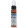Fiori Mediterranei Mustard Gocce 10 Ml