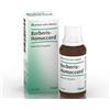 Guna Heel Berberis Homac Gocce 30 Ml Omeopatia