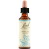 BEECH Schwabe Fiori Di Bach 03 Beech Gocce 20 Ml