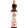 BACH Schwabe Fiori Di Bach 11 Elm Gocce 20 Ml