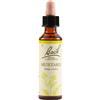 SCHWABE PHARMA ITALIA Schwabe Fiori Di Bach 21 Mustard Gocce 20 Ml