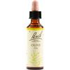 BACH Schwabe Fiori Di Bach 23 Olive Gocce 20 Ml