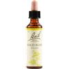 BACH Schwabe Fiori Di Bach 36 Wild Rose Gocce 20 Ml
