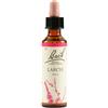 BACH Schwabe Fiori Di Bach Larch 19 Gocce 20 Ml