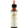 BACH Schwabe Pharma Italia Chicory Bach Orig 20 Ml