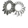 SANICO SRL Sanico Orecchini A Lobo Biojoux Dazzle Me
