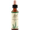 Argimony Schwabe Fiori Di Bach 01 Agrimony Gocce 20 Ml