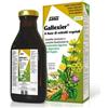 SALUS HAUS GMBH & CO KG Gallexier Sciroppo Al Carciofo Integratore Digestivo Depurativo 250 Ml Alimenti Normali