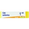 BOIRON GLOBULI Boiron Calcarea Carbonica Globuli 1Mk Dose 1G Omeopatia