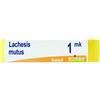 BOIRON GLOBULI Boiron Lachesis Mutus Globuli 1Mk Dose 1G