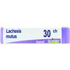 Boiron Lachesis Mutus Globuli 30Ch Dose 1G Omeopatia