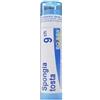 BOIRON GRANULI Boiron Spongia Tosta Granuli 09Ch Tubo 4G