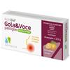 Nutridef Gola & Voce Sugar Free Arancia 20 Pastiglie Disinfettanti Bocca E Gola Pastiglie