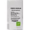 OTI SRL Oti Riber Nigrum Macerato Glicerico Riniti Allergiche 100 Ml Omeopatia