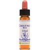 Chestnut Bud Essenza 10 Ml 1 Pezzo