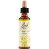 BACH Clematis Bach Original Flower Essences 20Ml