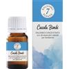7 PIANTE Balsamo 7 Piante Coccola Bimbi 15 Ml