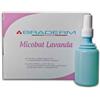 BRADERM SRL Braderm Micobat Lavanda Antimicotica 500 Ml Micosi Intima