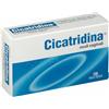 FARMA-DERMA SRL Farma-Derma Cicatridina Coadiuvante Mucosa Vaginale 10 Ovuli Vaginali Disinfezione Intima