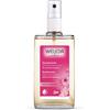 WELEDA ITALIA SRL Weleda Deodorante Rosa Mosqueta 100Ml Pelli Normali