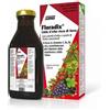 SALUS HAUS GMBH & CO KG Salus Floradix Ferro 250 Ml
