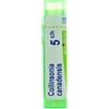 BOIRON GRANULI Boiron Collinsonia Canadensis 05Ch Tubo 80 Granuli 4G