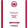 MOLECO LABORATOIRES SRLS Sebolyse Fisioshampoo Trattante 250 Ml Capelli Grassi