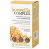 FARMADERBE SRL Farmaderbe Boswellia Complex 30 Compresse Energia E Ricarica