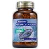 Santiveri Sa Olio Di Fegato Di Merluzzo 120 Perle Flacone 84 G Salute Del Cuore