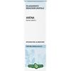 ERBA VITA ESTRATTI LIQUIDI Avena Semi Tintura Idroalcolica 50 Ml Ebv