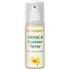NATURWAREN ITALIA SRL Naturwaren Dr Theiss Arnica Spray 100 Ml Traumi Ed Ematomi