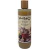 Alvita Gel Doccia Natale 2023 Pan Di Zenzero 250 Ml