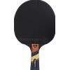 Excell 2000 Carbon Racchetta Interno